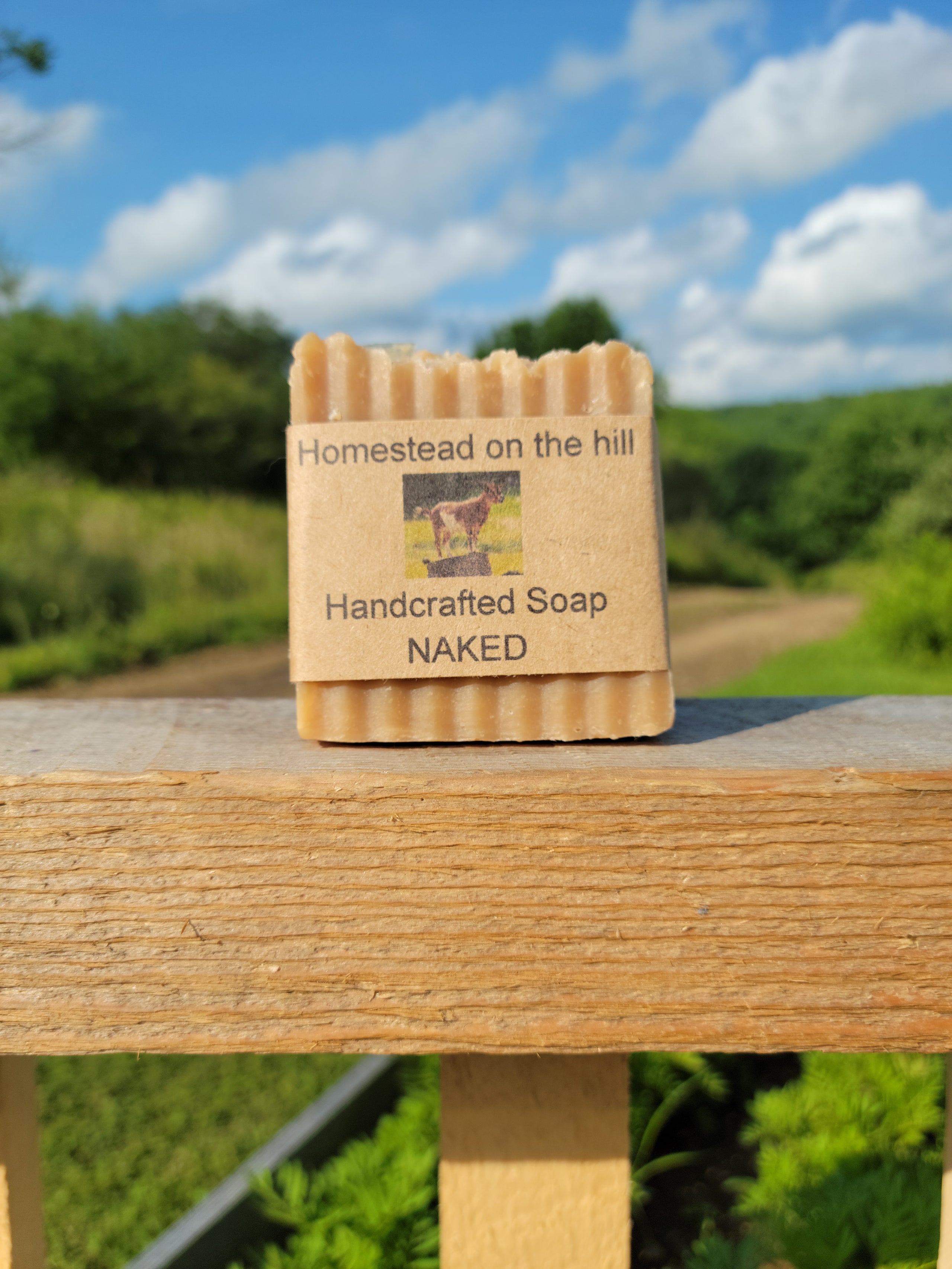 My Homestead Income: Selling Goat's Milk Soap for Profit 